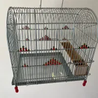قفس سهره