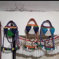 فروش پالان و لوازم اسب،قاطر و...|اسب و تجهیزات اسب‌سواری|ساری, |دیوار