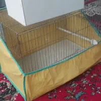 قفس همراه لانه عروس