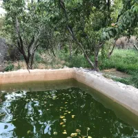 500مترزمین-باغی-سندتک-برگ-اماده-ساخت-باغ