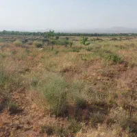 فروش ۲ هکتار زمین باغی و کشاورزی|فروش دفتر صنعتی، کشاورزی، تجاری|بروجن, |دیوار