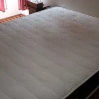 تشک گرین رست
