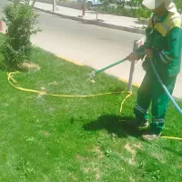 انجام امور باعبانی و فضای سبز|خدمات باغبانی و درختکاری|شیراز, شهرک فرزانگان|دیوار