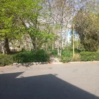 کارگر نیمه ماهر مکانیک خودرو