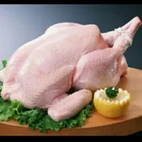 به چند نیرو ماهر و ساده مرغ و ماهی کار جهت همکاری