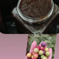 رب آلو/ رب انار شیرین/رب انار ترش/ آب زرشک