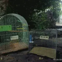 قفس پرنده
