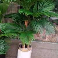 درختچه اریکا|گل مصنوعی|تهران, مشیریه|دیوار