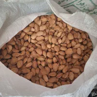 بادام اجیلی وکاغذی