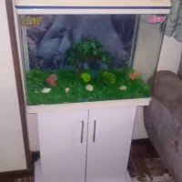 زیبا وتمیز با پایه درحد نو بادماسنج دیجیتالی درب|ماهی|تهران, گلچین|دیوار