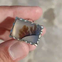 انگشتر شجر بینظیر.
