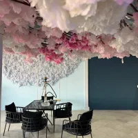 وسایل|فروشگاه و مغازه|بیرجند, |دیوار