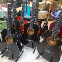 (گیتار کلاسیک و آکوستیک برای هر سلیقه، اقساط
