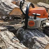 خدمات درخت بری