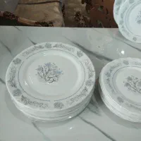 تعداد ی بشقاب آرکوپال ۱۲ نفره لومینارک فرانسه اصل|ظروف سرو و پذیرایی|تهران, شهرک ولیعصر جنوبی|دیوار