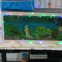 آکواریوم باهمه وسایل