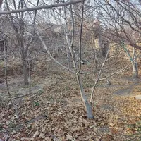 مشارکت درساخت