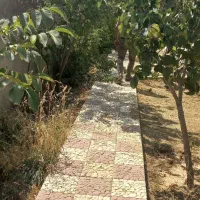ویلاباغ درحیدره بالای شهر مشاورملک شایگان