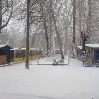 استخدام زن و شوهر سرایدار