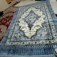 فرش|فرش|مشهد, طبرسی شمالی|دیوار