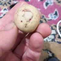 سنگ الماس آسیاب|کلکسیون اشیاء عتیقه|بندر گناوه, |دیوار