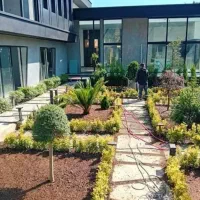 خدمات باغبانی باغچه کاری تعویض خاک گلدان کاشت گل و