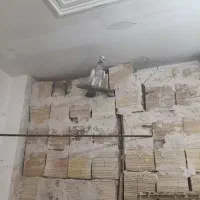 کفتر|کلکسیون و سرگرمی|بجنورد, |دیوار