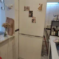 یخچال فریزر سلن