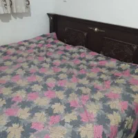 تخت