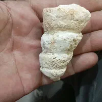 عرج