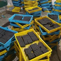 زغال حبه 100% پسته