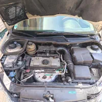 206 فرانسوی بدون رنگ