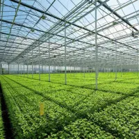 گلخانه هیدروپونیک شبستر|فروش دفتر صنعتی، کشاورزی، تجاری|شبستر, |دیوار