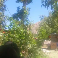 کارگر گشاورزی دارم