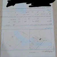 زمین ارغوان