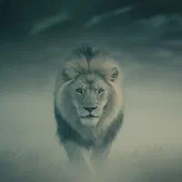 راننده بین شهری شهری