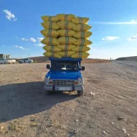 خرید و فروش کاه زنجان ومغان و موران قیمت توافقی