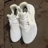 کتونی اورجینال کاملا نو