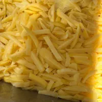 استخدام نیروی کار