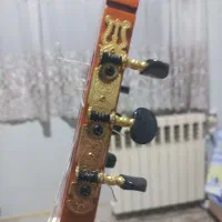 گیتارپالادوcg80|گیتار، بیس، امپلیفایر|پردیس, فاز ۴|دیوار