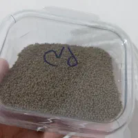 غذای ماهیان گوشتخوار