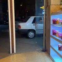انواع سبزی خرد وسرخ شده پیاز و ترشی و مربا