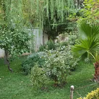 رهن آپارتمان ۸۲ متری ۲ خوابه در شاهین|اجارهٔ آپارتمان|تهران, شاهین|دیوار