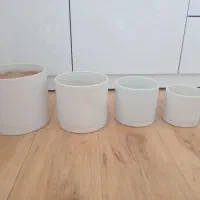 گلدون