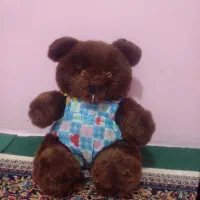 یک عدد عروسک خرس سالم|اسباب‌بازی بچه|سنندج, |دیوار