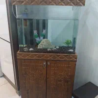 اکواریوم چوبی