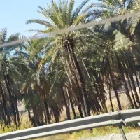 آپارتمان چهکند