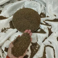 پسته . زیره . گلرنگ . گندم . کوداوره