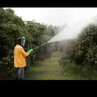 سمپاشی باغ وباغچه وگل وگیاه،خریدوفروش چوب