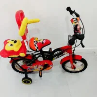 دوچرخه 16خارجی و دوازده